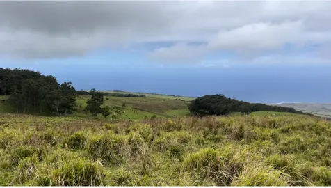 Kaalualu Road Naalehu HI 96772