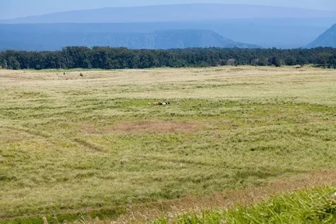 Kaalualu Road Naalehu HI 96772