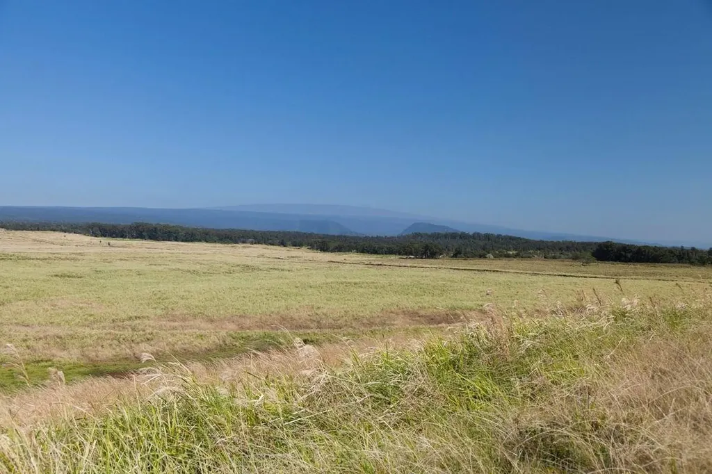 Kaalualu Road Naalehu HI 96772