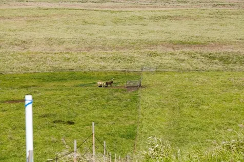 Kaalualu Road Naalehu HI 96772