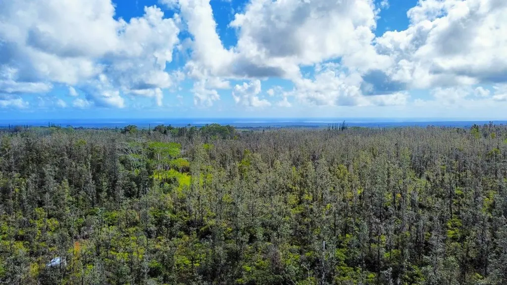 Road 6 (OOAA) Mountain View HI 96760