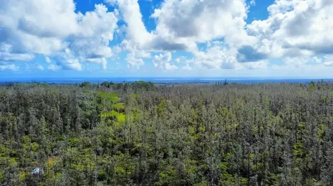 Road 6 (OOAA) Mountain View HI 96760