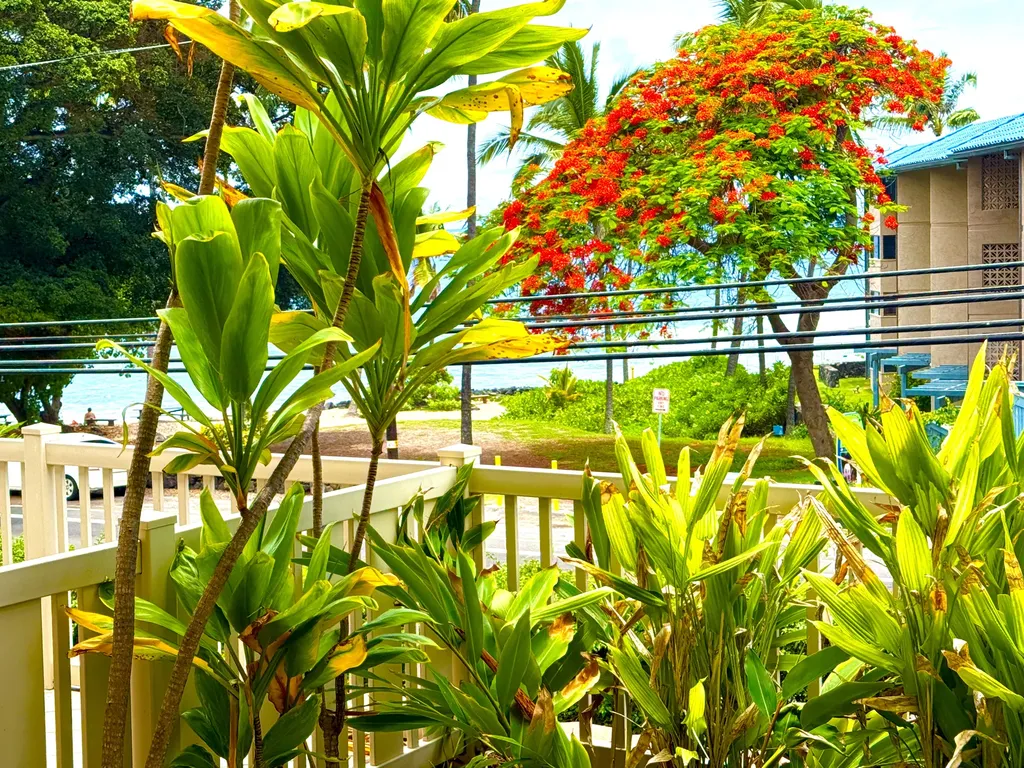 75-5919 Alii Drive Kailua-kona HI 96740