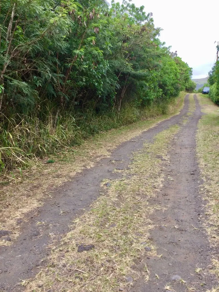 94-6410 Holowai Street Naalehu HI 96772