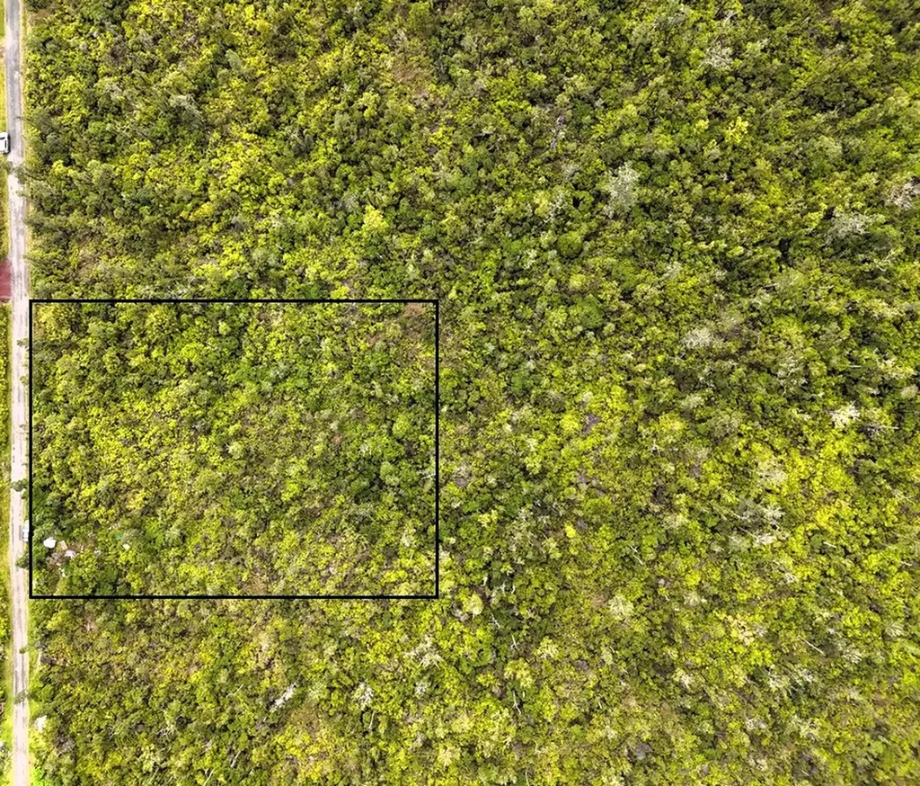 Ala Naulani Road Volcano HI 96785