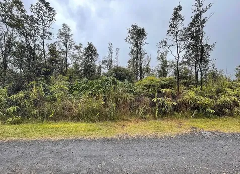 Ala Naulani Road Volcano HI 96785