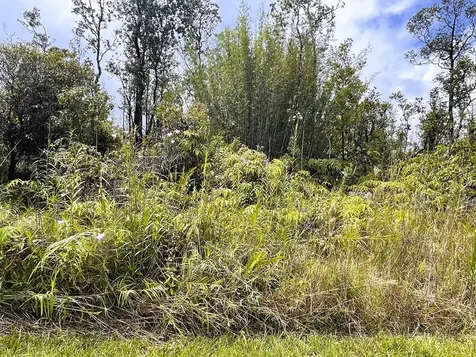 Ala Naulani Road Volcano HI 96785