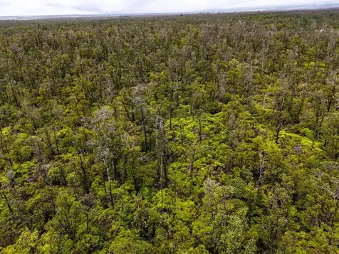Ala Naulani Road Volcano HI 96785
