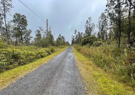 Ala Naulani Road Volcano HI 96785