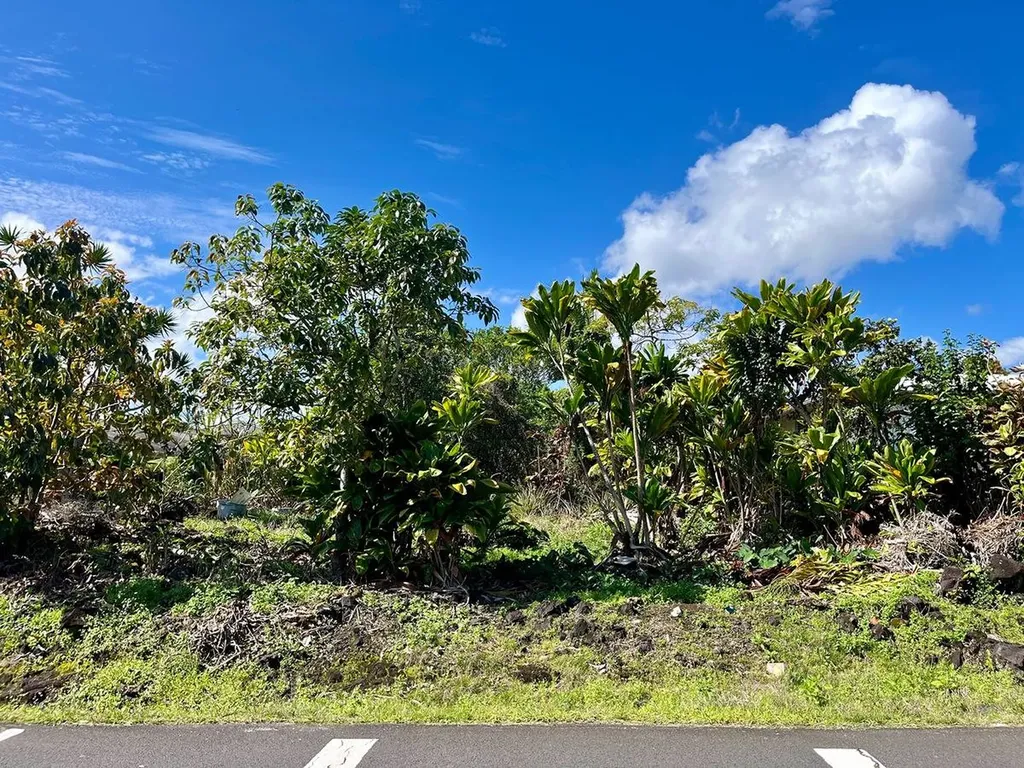 Hokulani Street Hilo HI 96720