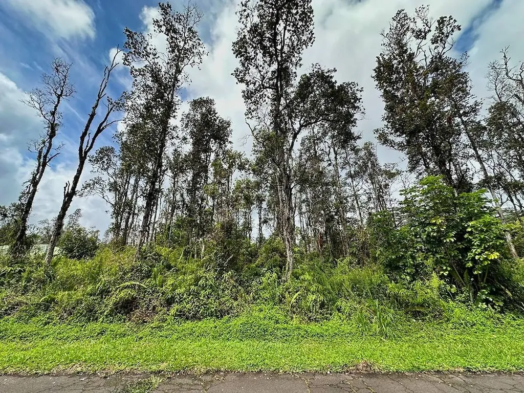 Seaview Road Pahoa HI 96778