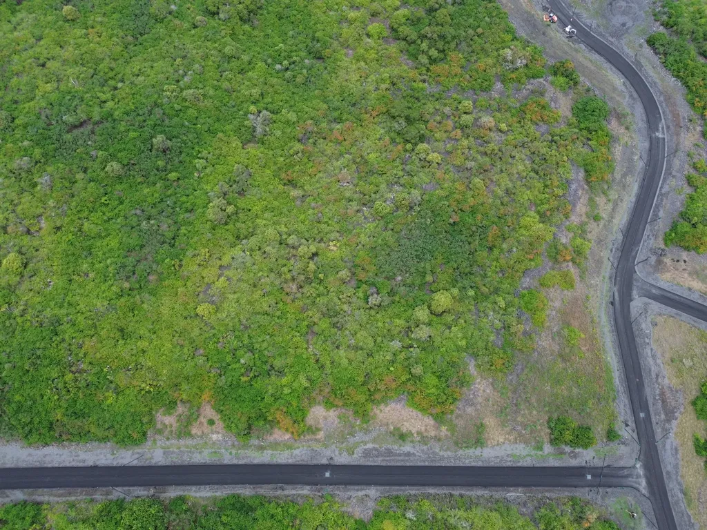 Captain Cook HI 96704