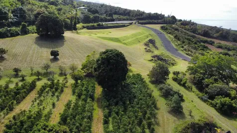 Captain Cook HI 96704