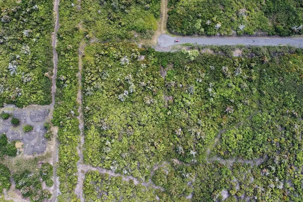 87-4049 Aukele Place Captain Cook HI 96704