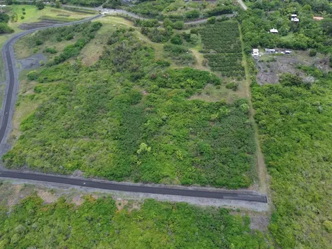 Captain Cook HI 96704