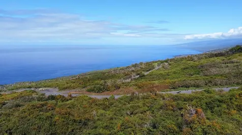 Captain Cook HI 96704