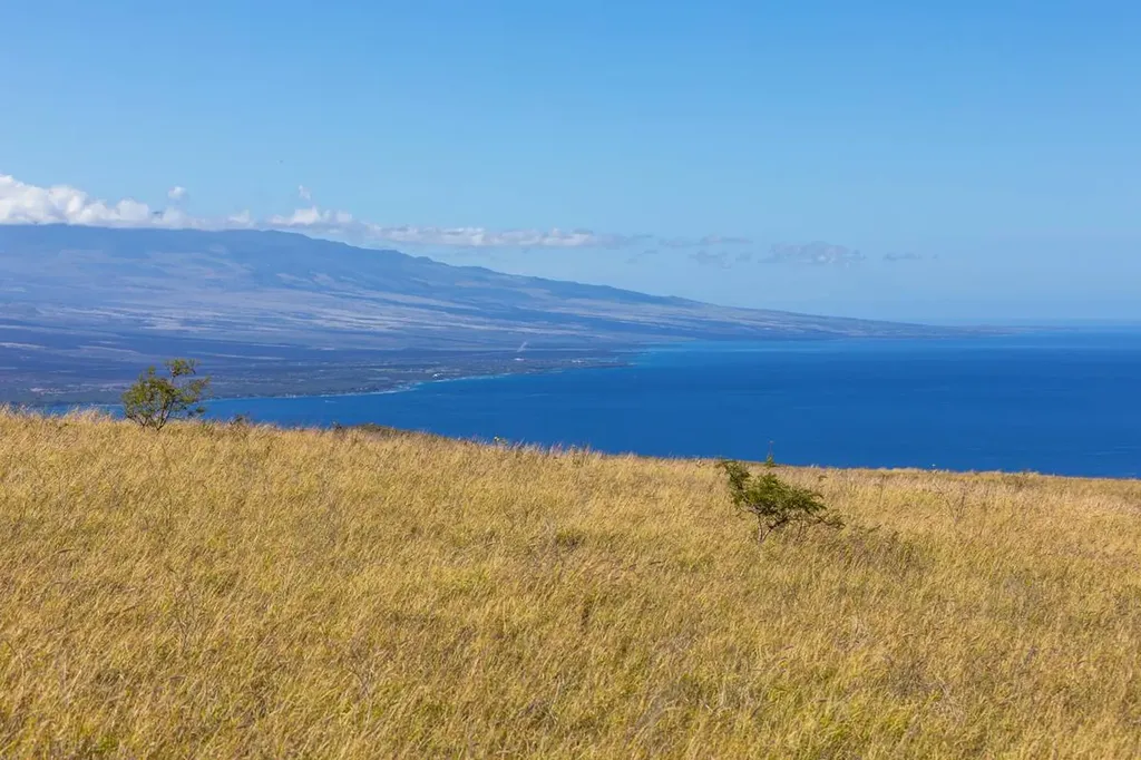 Kamakani Loop Kamuela HI 96743