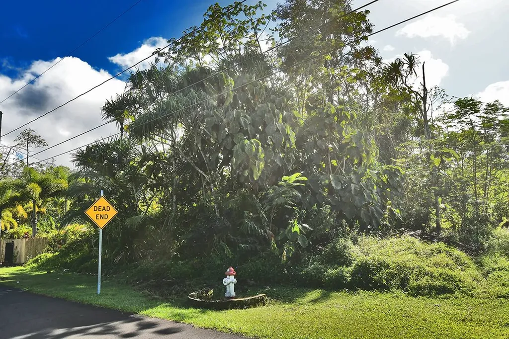 Opae Street Pahoa HI 96778