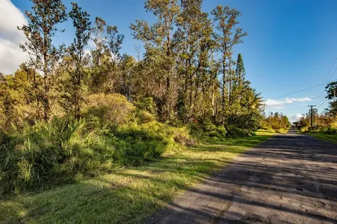 11-2884 Hibiscus Street Mountain View HI 96771