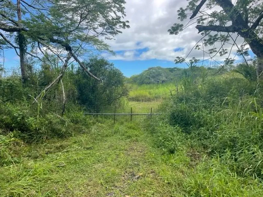 39th Avenue Keaau HI 96749