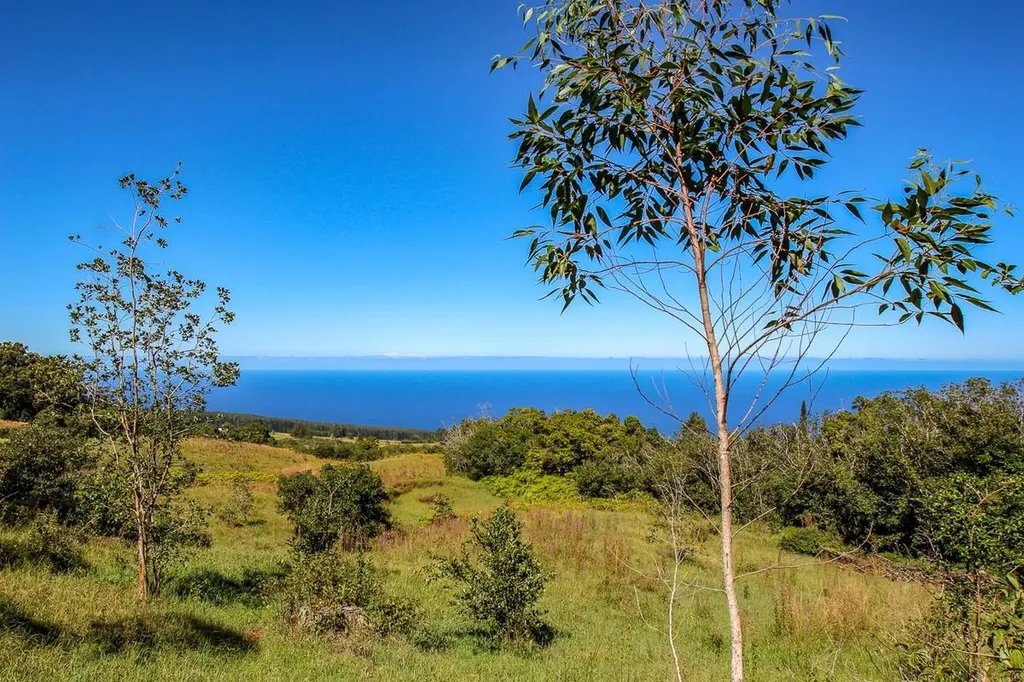 36-772 Spencer Road Laupahoehoe HI 96764