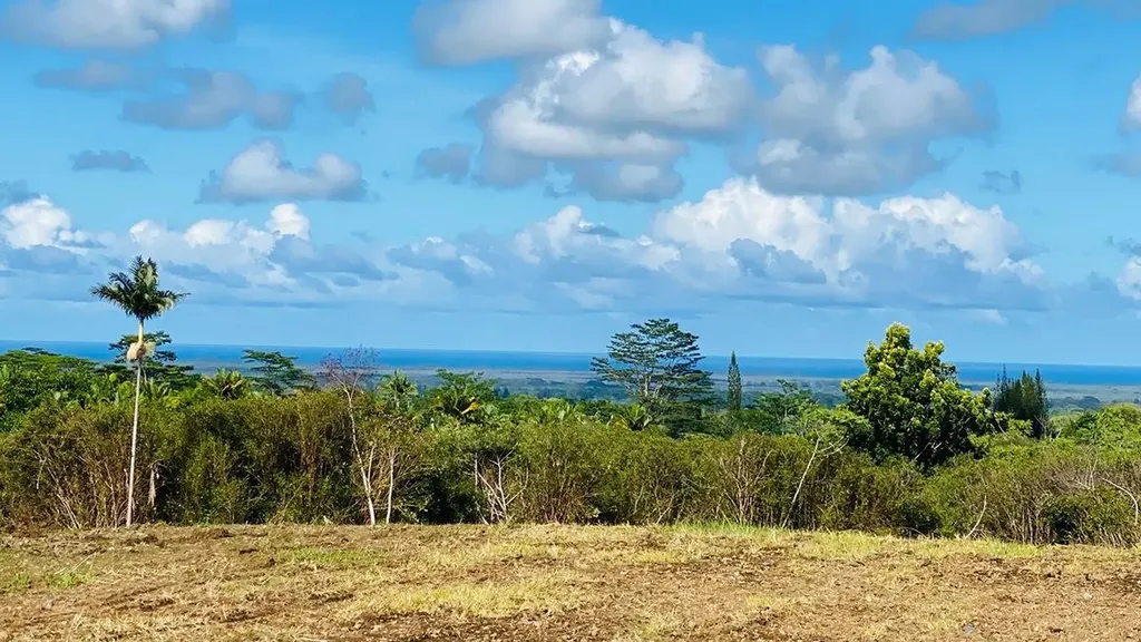 Alaloa Road Hilo HI 96720