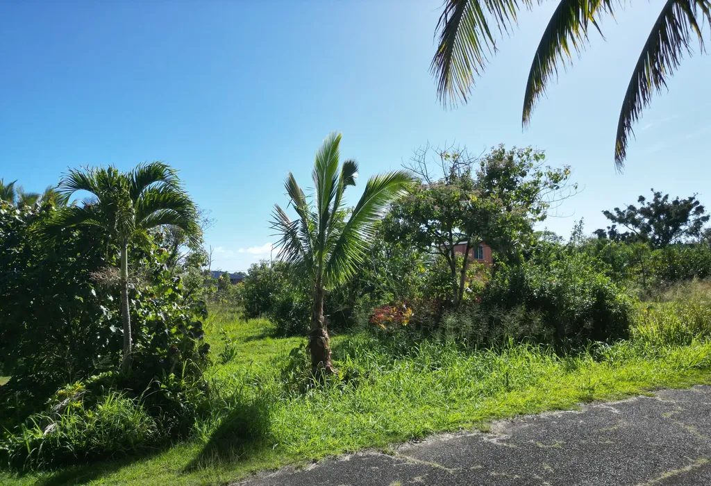 12-7043 Lawaianui Street Pahoa HI 96778