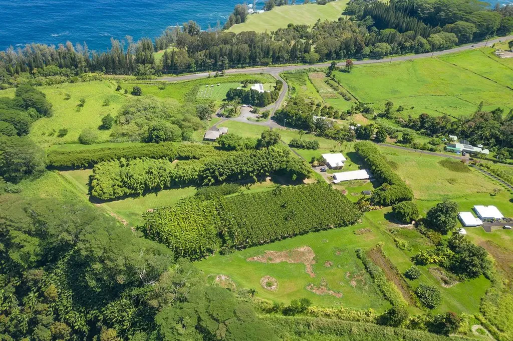 28-1829 Old Mamalahoa Highway Honomu HI 96728