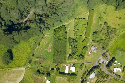 28-1829 Old Mamalahoa Highway Honomu HI 96728