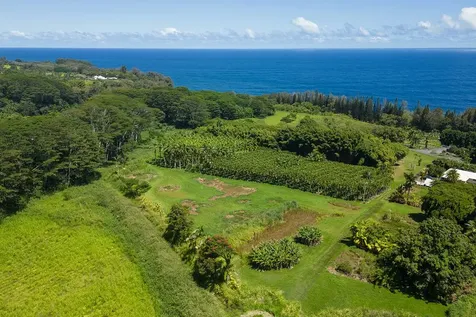 28-1829 Old Mamalahoa Highway Honomu HI 96728