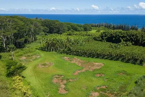 28-1829 Old Mamalahoa Highway Honomu HI 96728