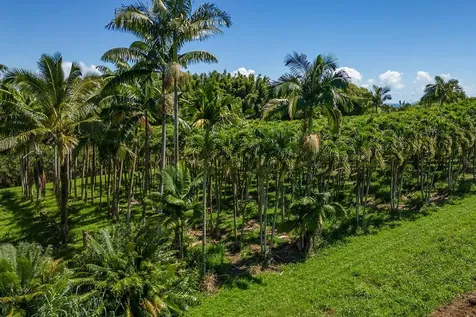 28-1829 Old Mamalahoa Highway Honomu HI 96728