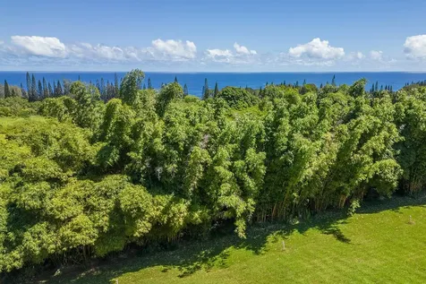 28-1829 Old Mamalahoa Highway Honomu HI 96728