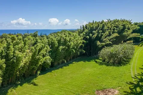 28-1829 Old Mamalahoa Highway Honomu HI 96728