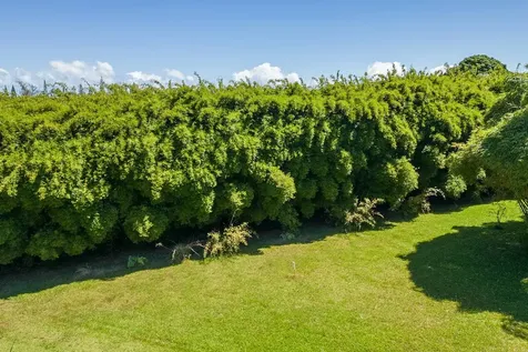 28-1829 Old Mamalahoa Highway Honomu HI 96728