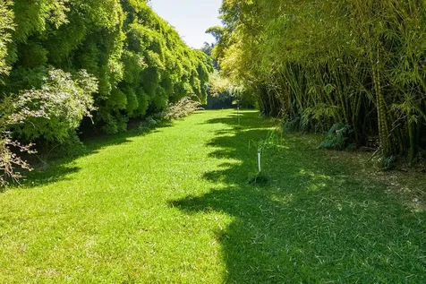 28-1829 Old Mamalahoa Highway Honomu HI 96728