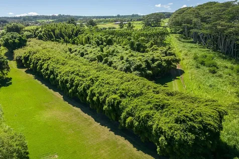 28-1829 Old Mamalahoa Highway Honomu HI 96728