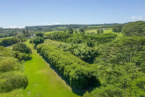 28-1829 Old Mamalahoa Highway Honomu HI 96728