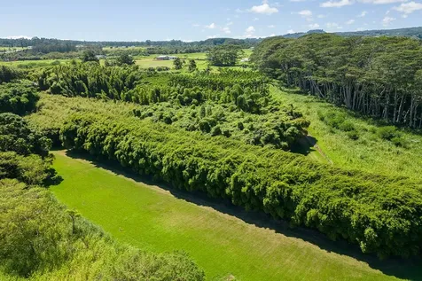 28-1829 Old Mamalahoa Highway Honomu HI 96728