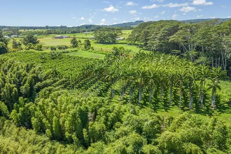 28-1829 Old Mamalahoa Highway Honomu HI 96728