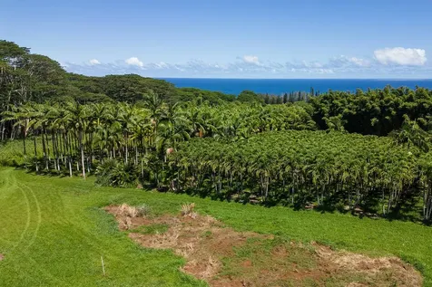 28-1829 Old Mamalahoa Highway Honomu HI 96728