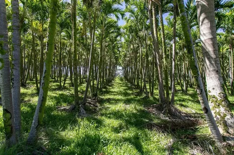 28-1829 Old Mamalahoa Highway Honomu HI 96728