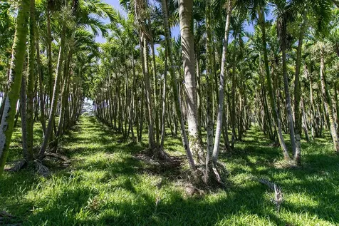 28-1829 Old Mamalahoa Highway Honomu HI 96728