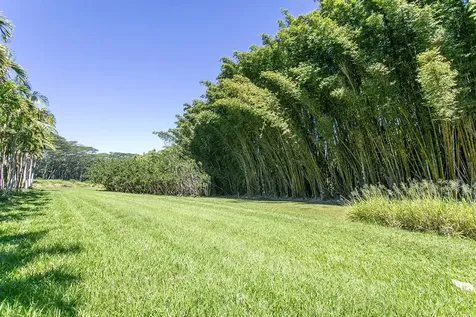 28-1829 Old Mamalahoa Highway Honomu HI 96728