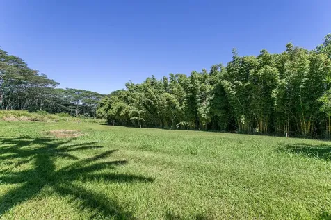 28-1829 Old Mamalahoa Highway Honomu HI 96728