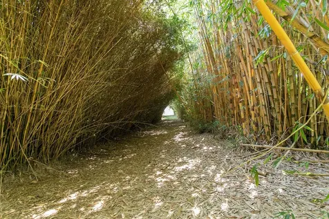 28-1829 Old Mamalahoa Highway Honomu HI 96728