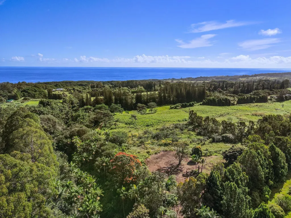 29-2458 Kaiwiki Homestead Road Hakalau HI 96710
