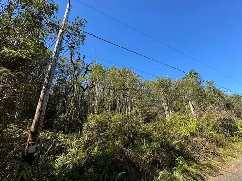 Road 5 (UAU) Mountain View HI 96760