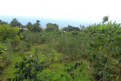 84-5018-p Hawaii Belt Road Captain Cook HI 96704