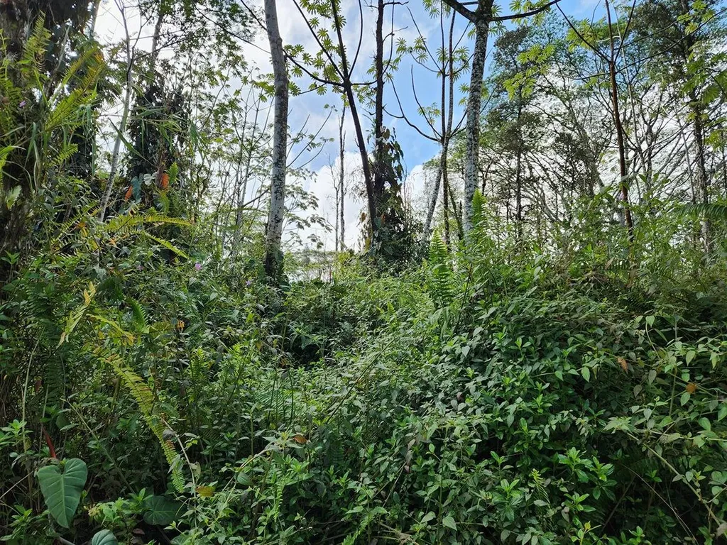 Niihau Road Pahoa HI 96778